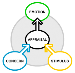 The role of appraissals in emotions